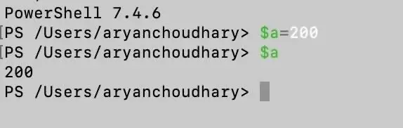 PowerShell variables