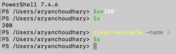 Deleting variable